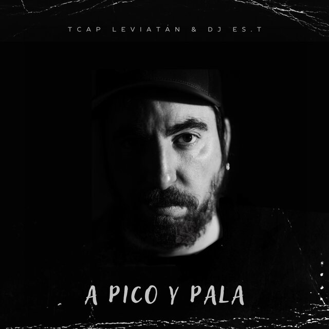 A PICO Y PALA