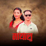 Mayalu