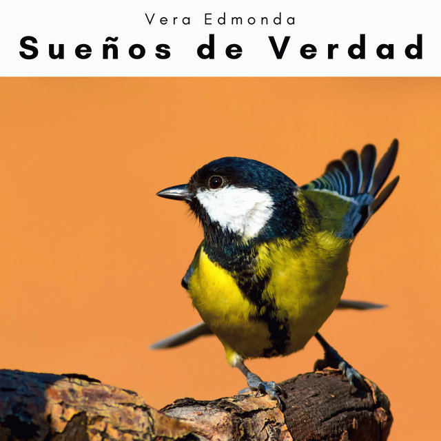 A h o r a: Sueños de Verdad