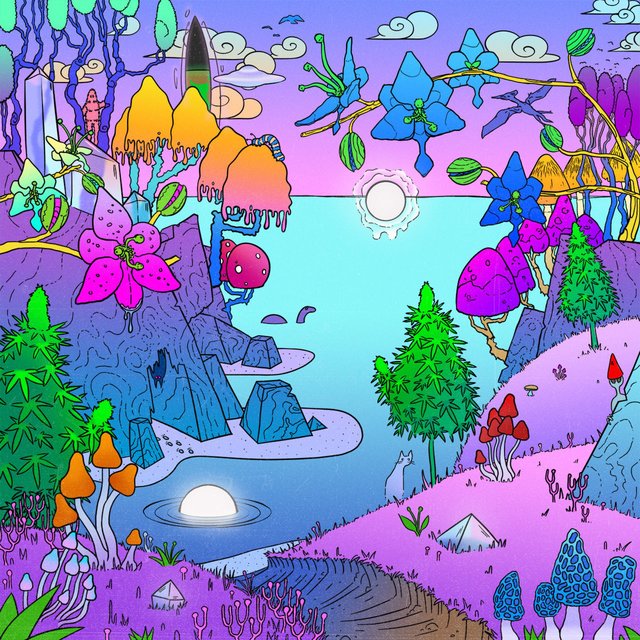 Wonderland