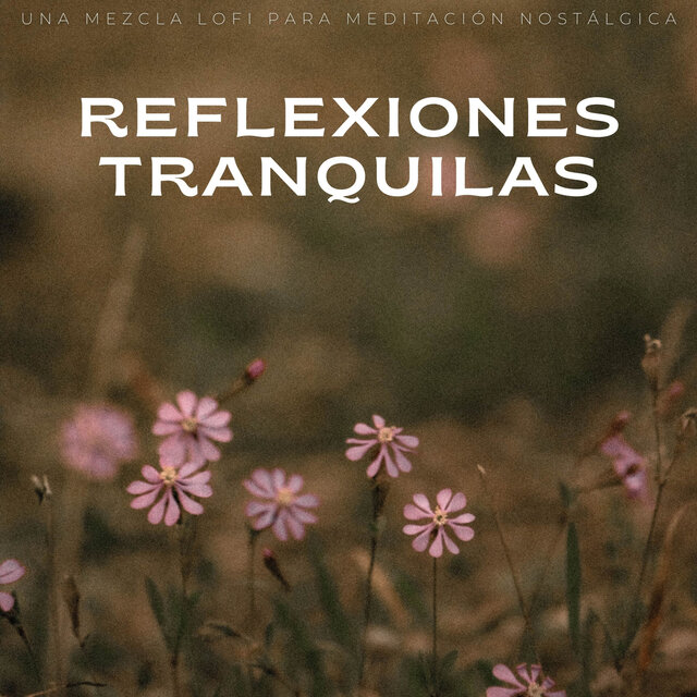 Reflexiones Tranquilas: Una Mezcla Lofi Para Meditación Nostálgica