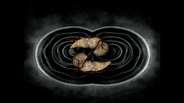 Pancreas (HD Version)
