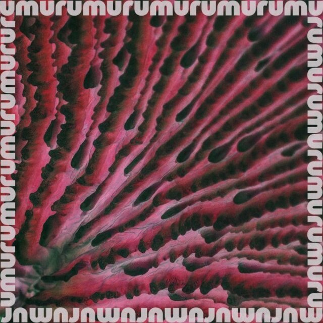 Cover art for album Urt by Umuru