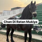 Chan Di Ratan Mukiya