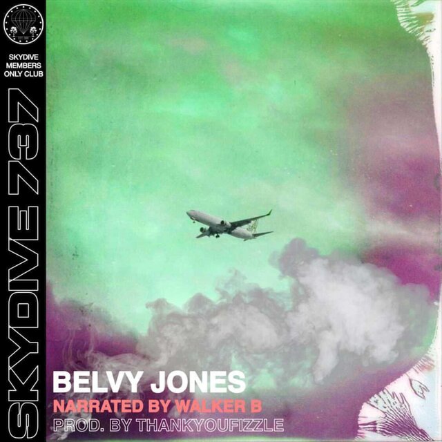 Skydive 737