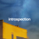 Introspection