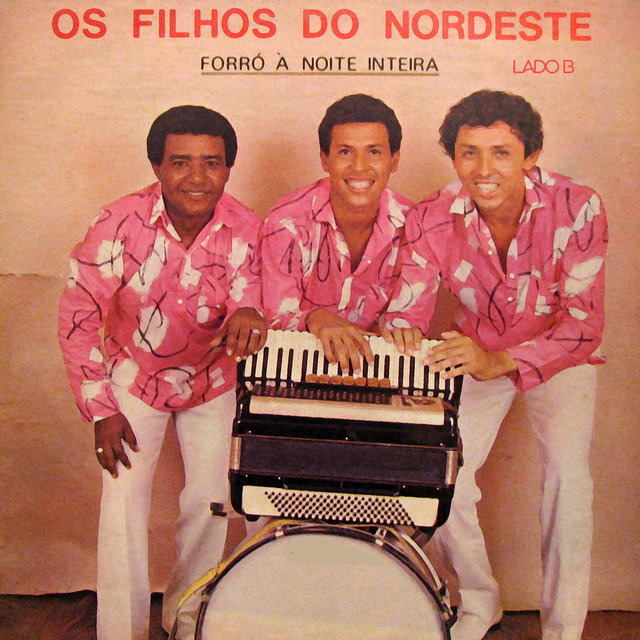Forró à Noite Inteira - Lado B
