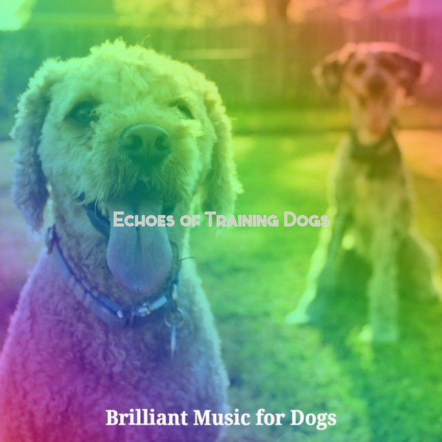 Echoes of Training Dogs