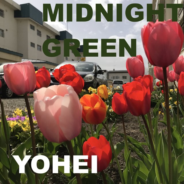 Midnight Green