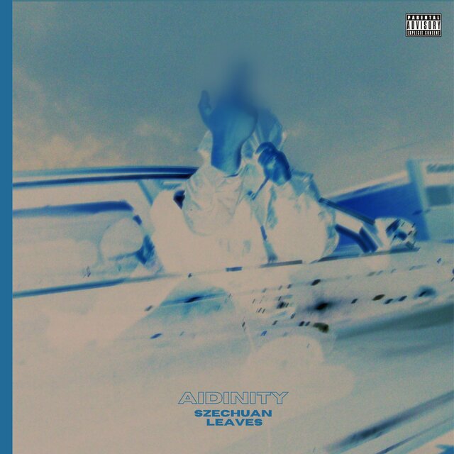 Szechuan Leaves (feat. By Any Means)