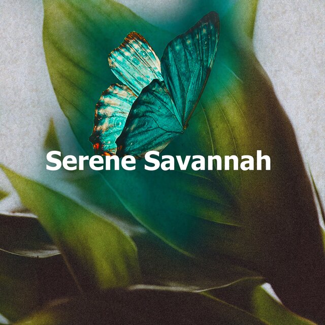 Serene Savannah