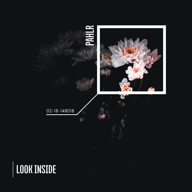 Look Inside