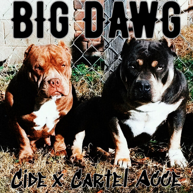 Big Dawg