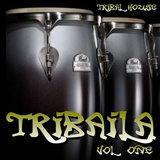 Jungle Riot