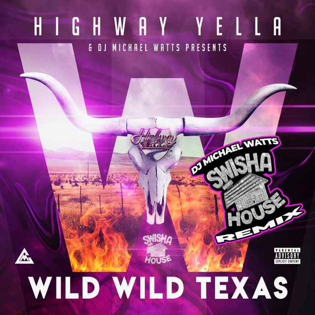 Wild Wild Texas