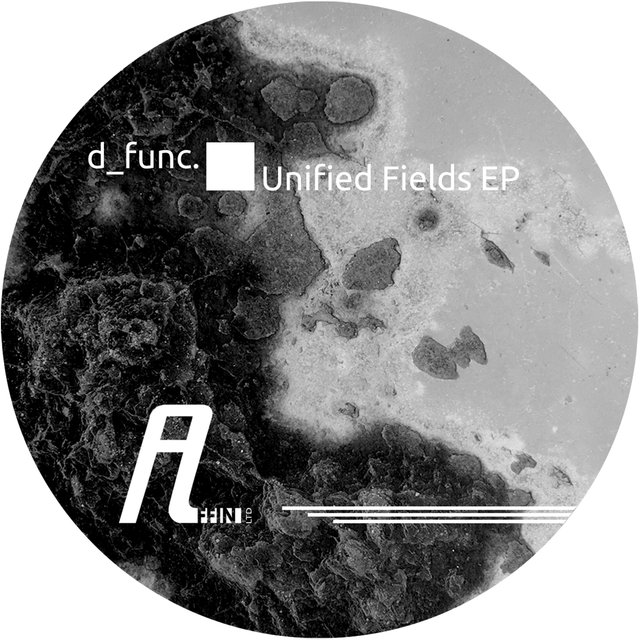 Unified Fields