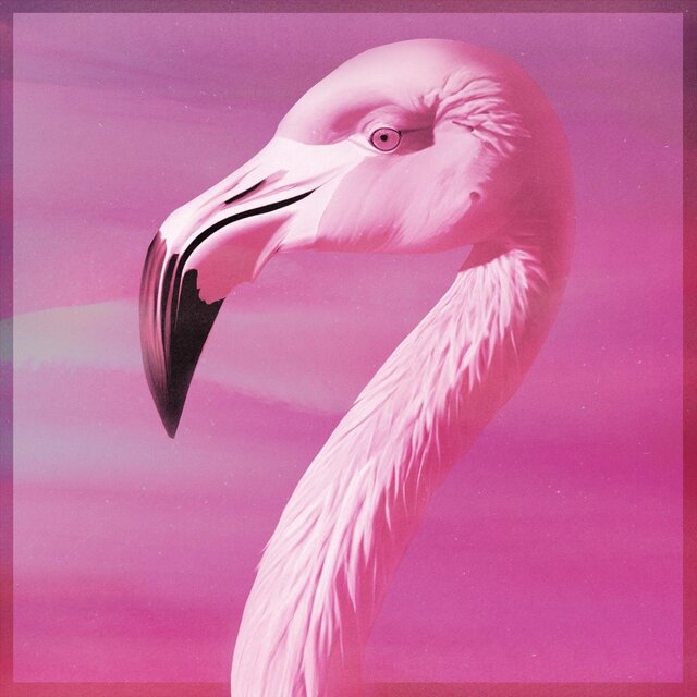 Cor-de-Rosa