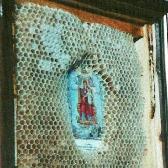 THST (The Holy Swarm Theory)