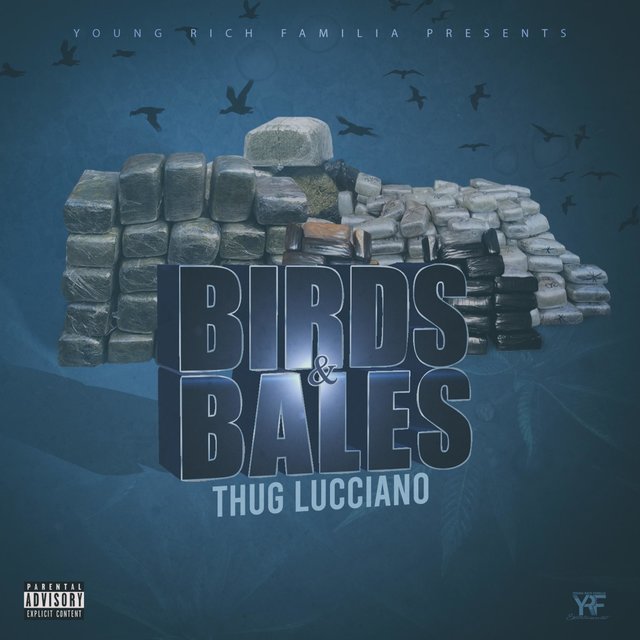 Birds & Bales