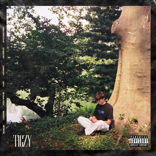 TIGZY