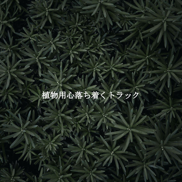 植物用心落ち着くトラック
