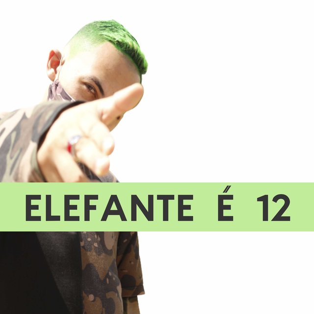 Elefante É 12