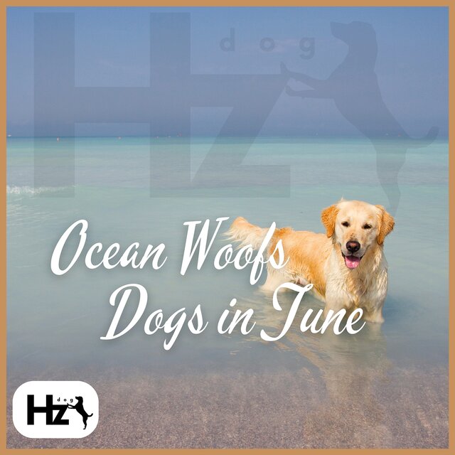 Ocean Woofs: Dogs in Tune with Flute Waves