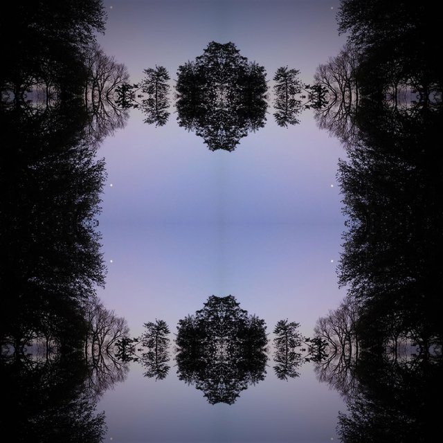 Electric Birds in Acoustic Trees