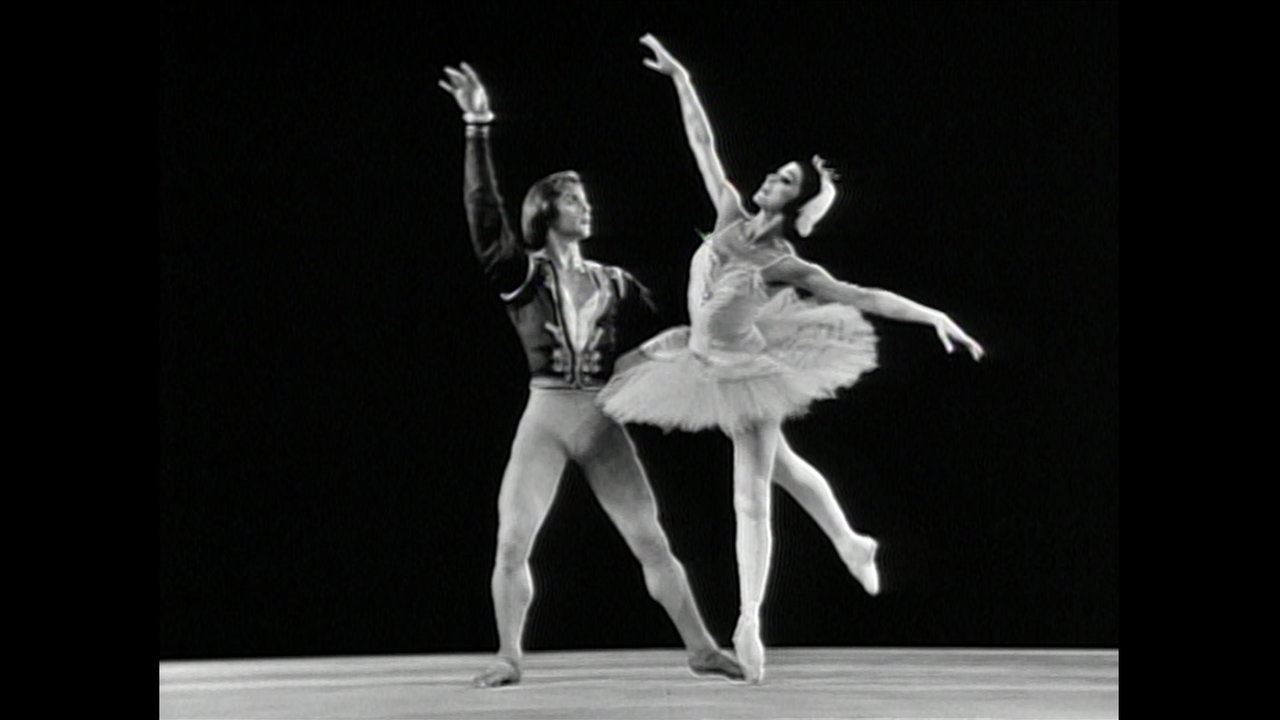 Swan Lake