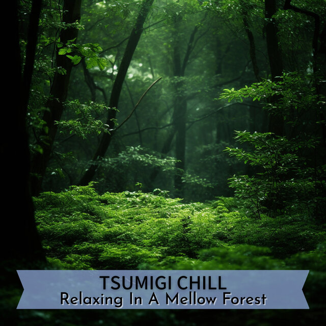 Relaxing In A Mellow Forest