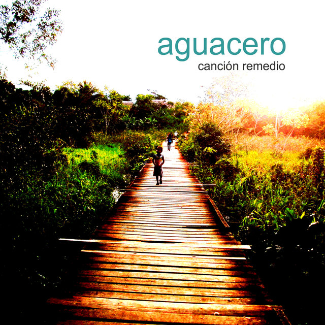 Canción Remedio