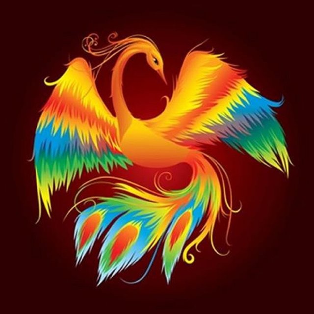 Dare to be reborn