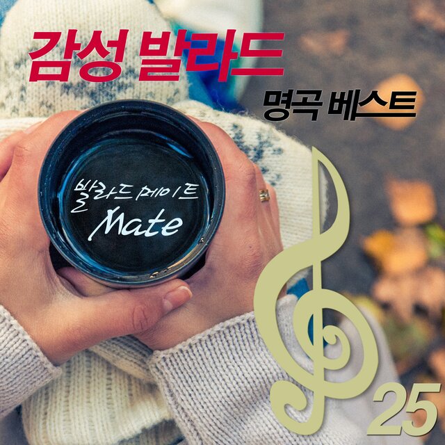 감성 발라드 명곡 베스트 25집
