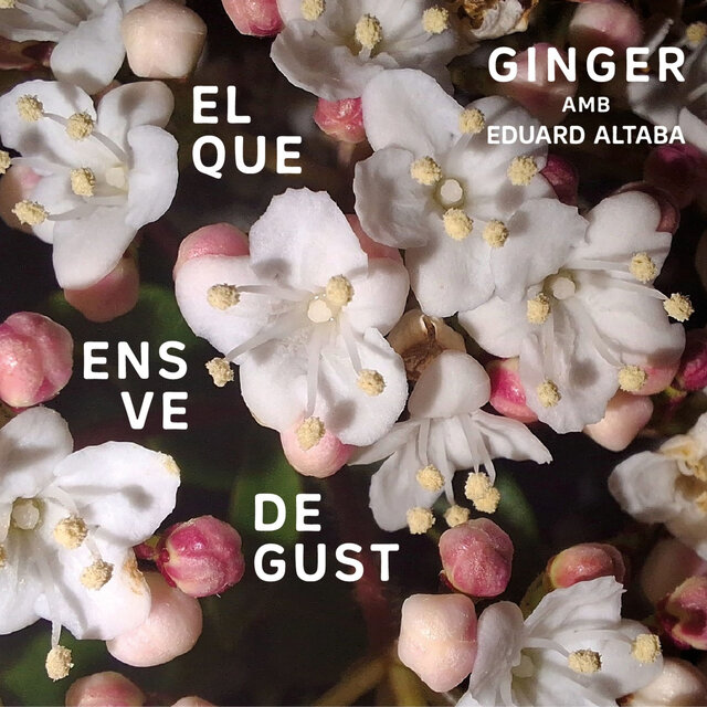 El que ens ve de gust, Ginger amb Eduard Altaba