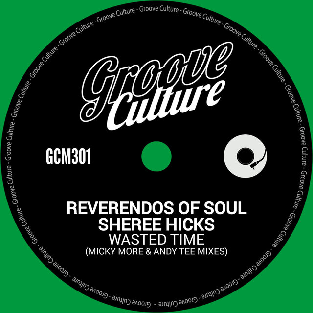 Wasted Time (Micky More & Andy Tee Mixes)