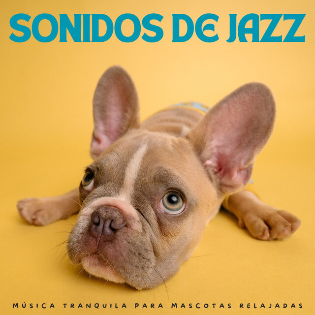 Sonidos De Jazz: Música Tranquila Para Mascotas Relajadas