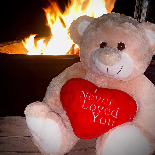 INeverLovedYou