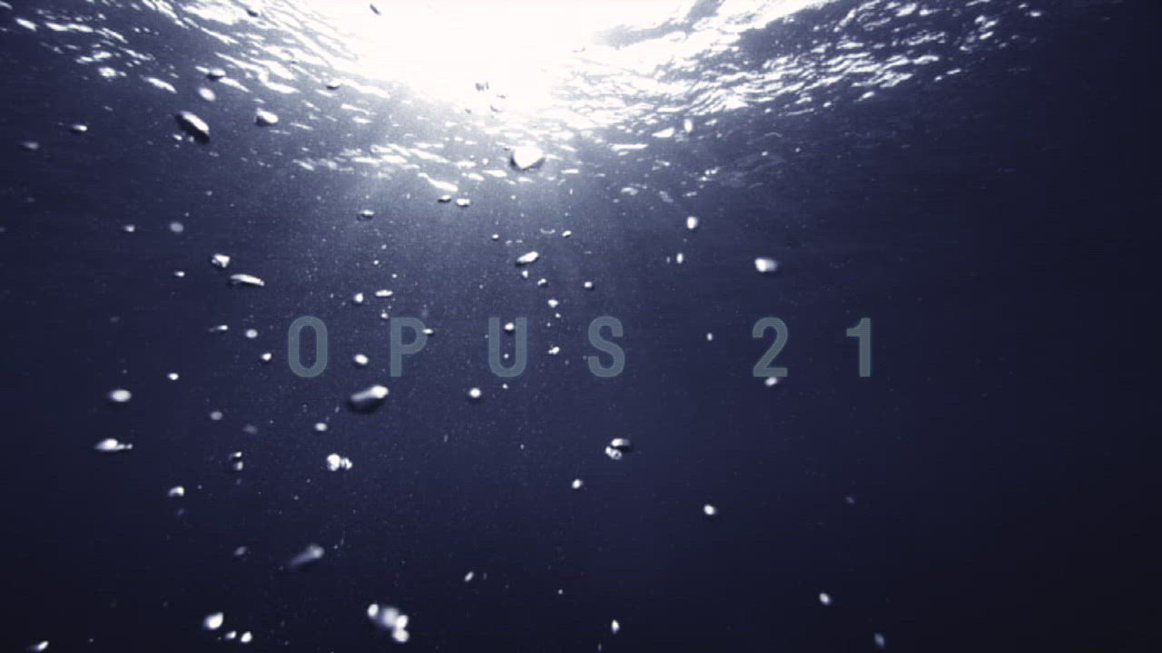 Opus 21