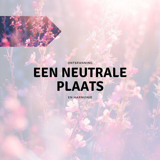Een Neutrale Plaats