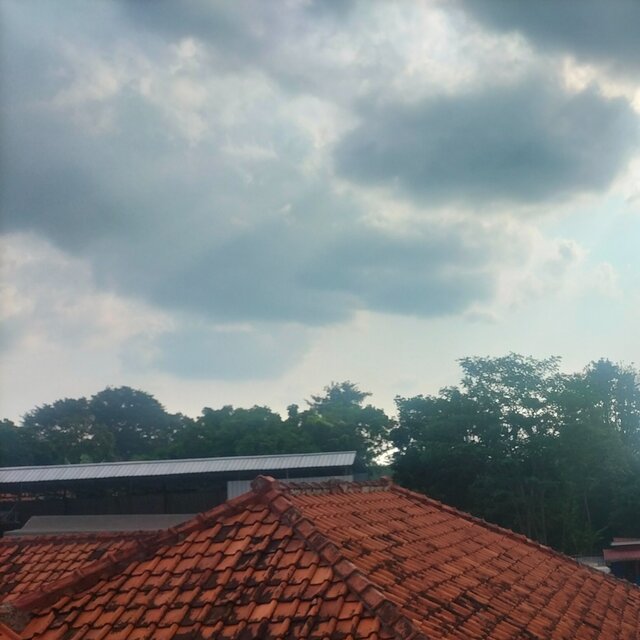 Miss