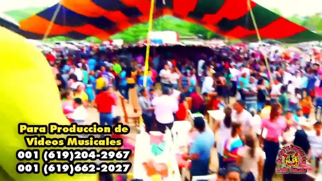 Damelo Damelo (En Vivo)