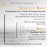 Harpsichord Concerto in A Minor, BWV 1065 (After Vivaldi's RV 580): I. Allegro