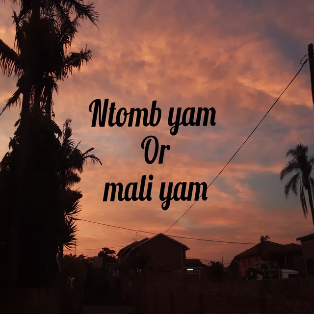 Ntomb Yam Or Mali Yam