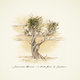 Cover art for album A Field Guide to Loneliness by Jamestown Revival