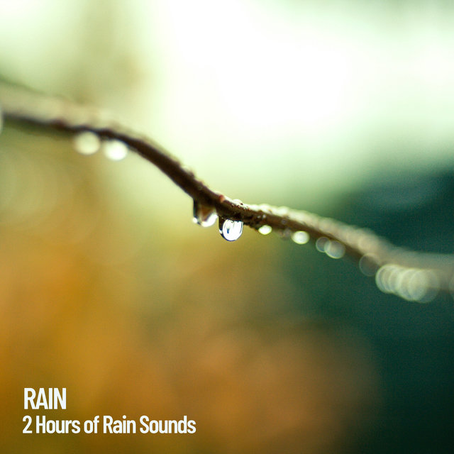 Rain: 2 Hours of Rain Sounds