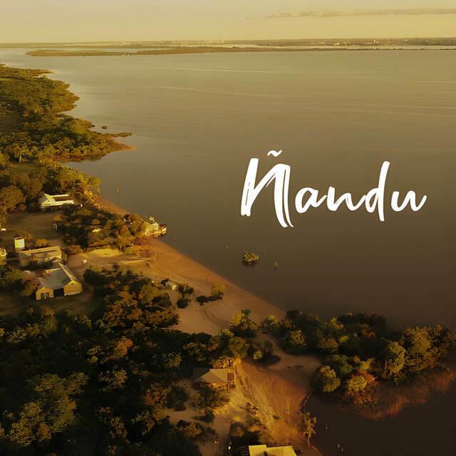Ñandú