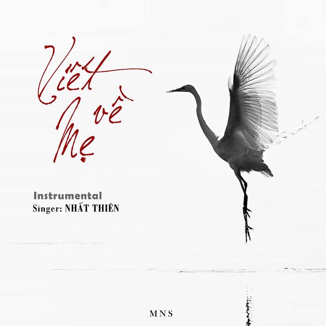 Viết Về Mẹ (Instrumental)