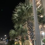 100kovernight