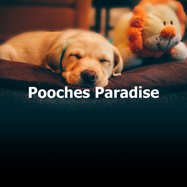 Pooches Paradise