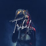 Austie Didgeridoo Tech Fest (Synth And Bass)